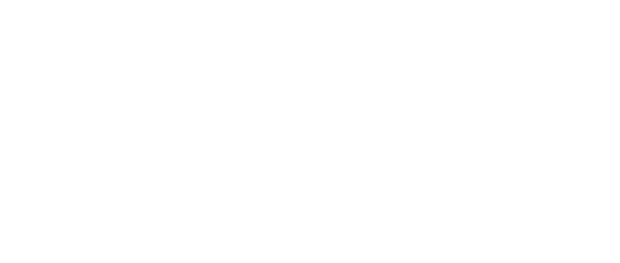 The only expert in modern stylish living